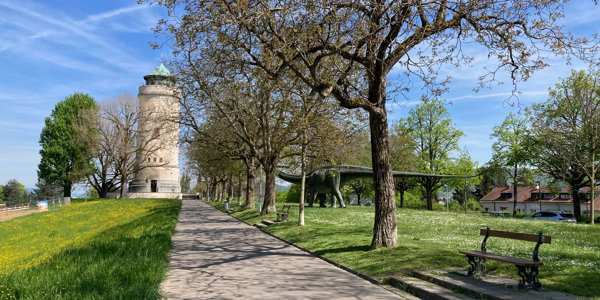 Bruderholz